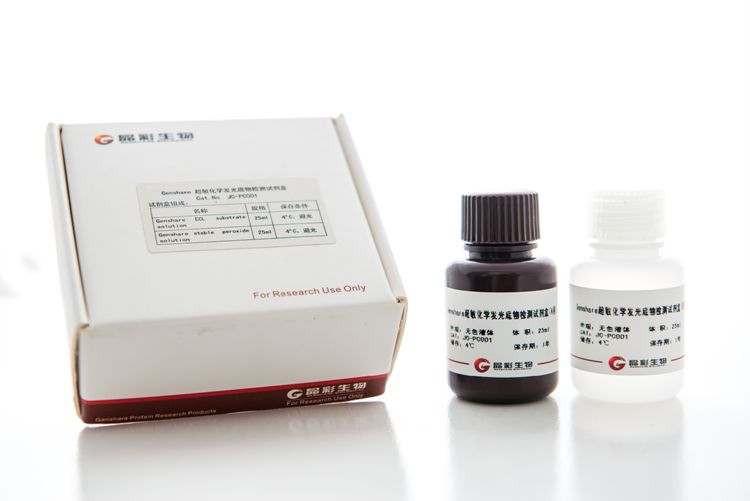 超敏化学发光底物检测试剂盒