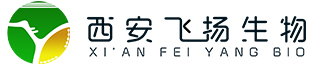 2021年春节放假通知